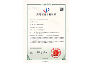 正压放水器专利